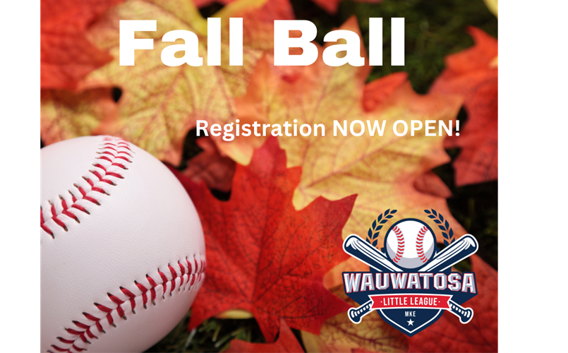 Fall Ball Registration Now OPEN